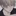 임준수[bl]