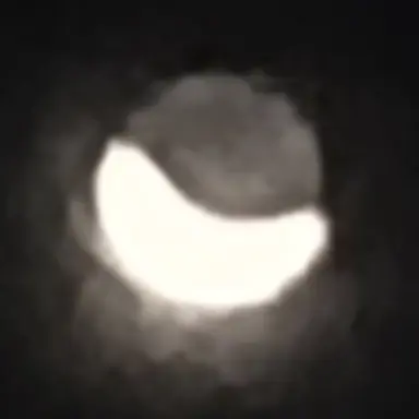Profile image of 늑대