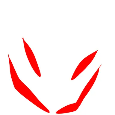 Profile image of 퍼스팅 라이트