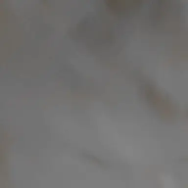 Profile image of 한ㄷ민