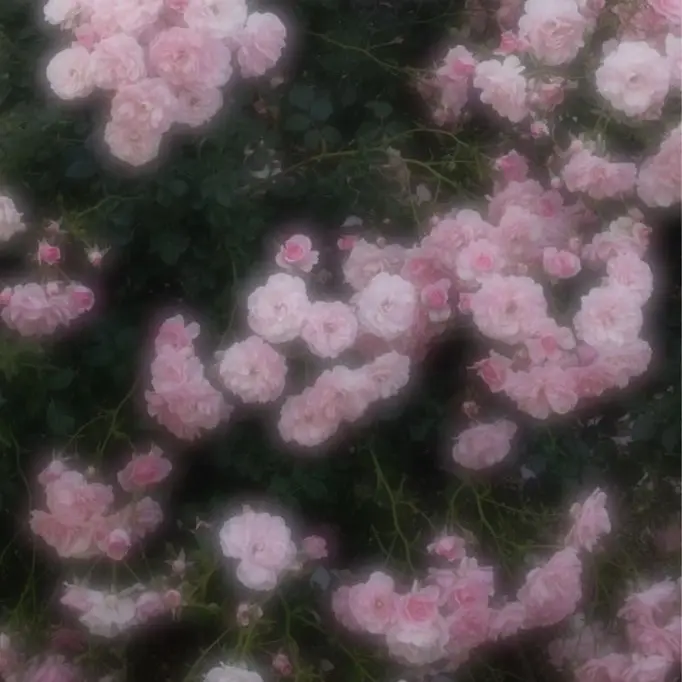 7kng_r의 강 다 겸