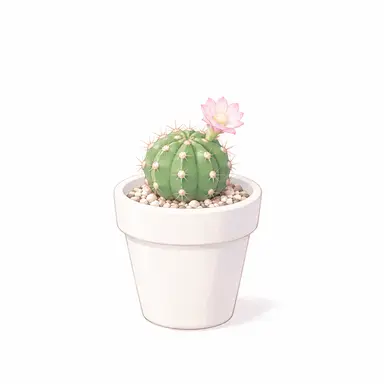 Profile image of Cactus