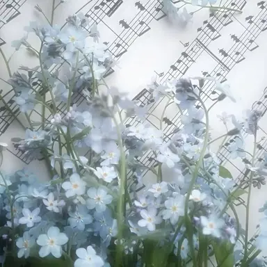 Profile image of 박잠뜰