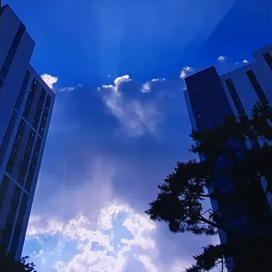 Profile image of 박잠뜰
