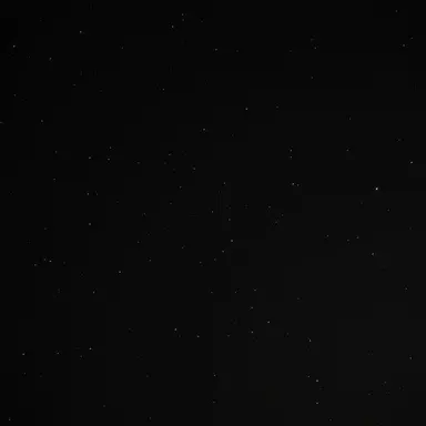 Profile image of 최서희