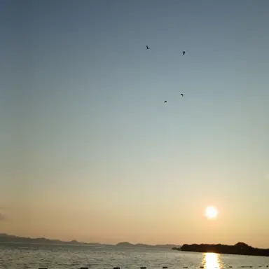 Profile image of 夜空   空