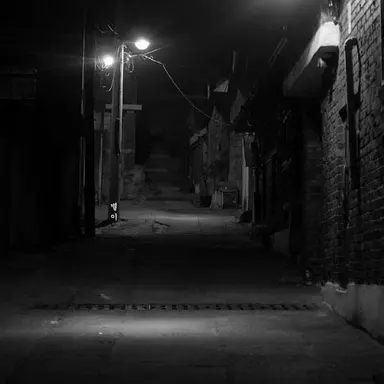 Profile image of 崔承哲