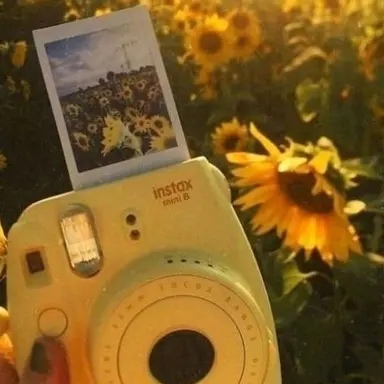 Profile image of 쪼만