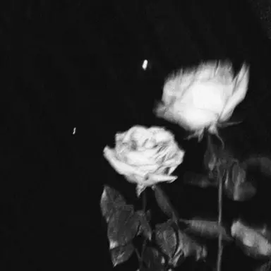 Profile image of 우융