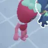 Profile image of 스프라우트 시들리