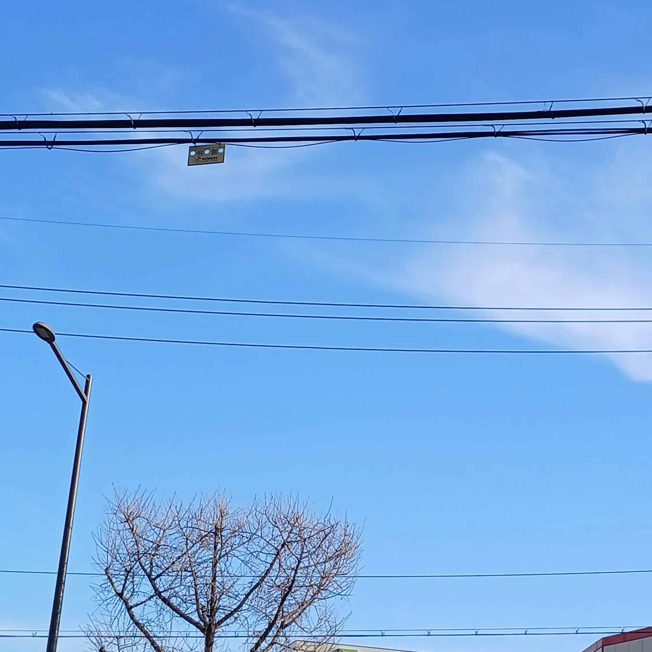 K1015의 남자 버튜버들5