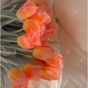 Profile image of 예나