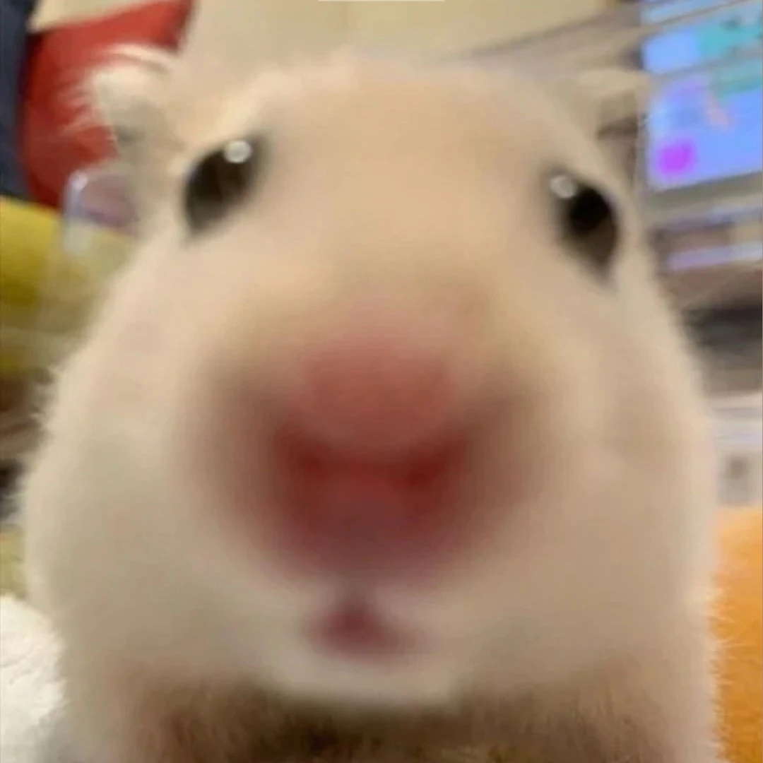 리레