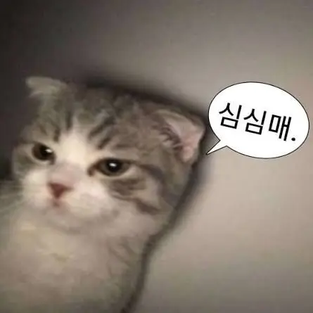 XL_DS의 디스코드 섭 운영하다?!