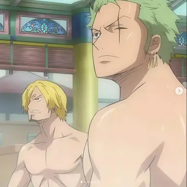 Profile image of Zoro and sanji