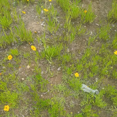 Profile image of 수