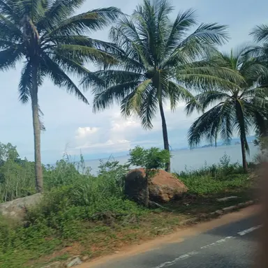 Profile image of 라더