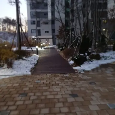 Profile image of 육성지