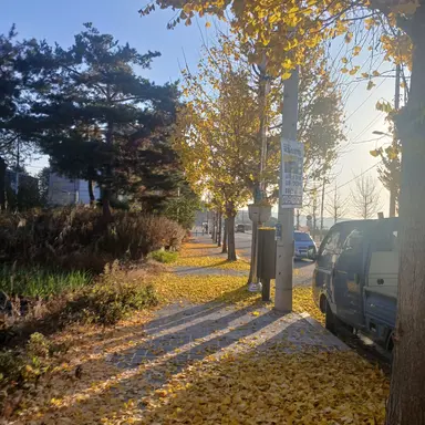 Profile image of 은주혁