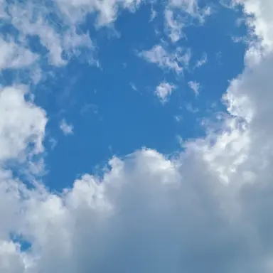 Profile image of 김기태