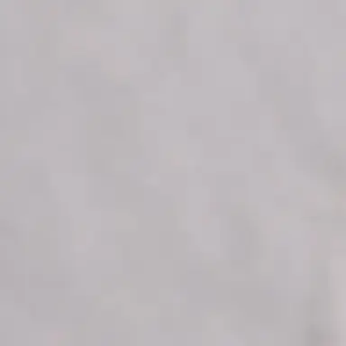 Profile image of 선유재