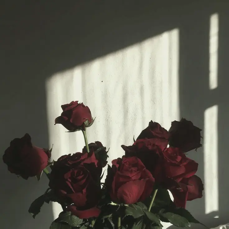 Daljjen의 김기태