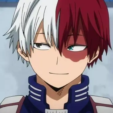 Profile image of Shoto Todoroki