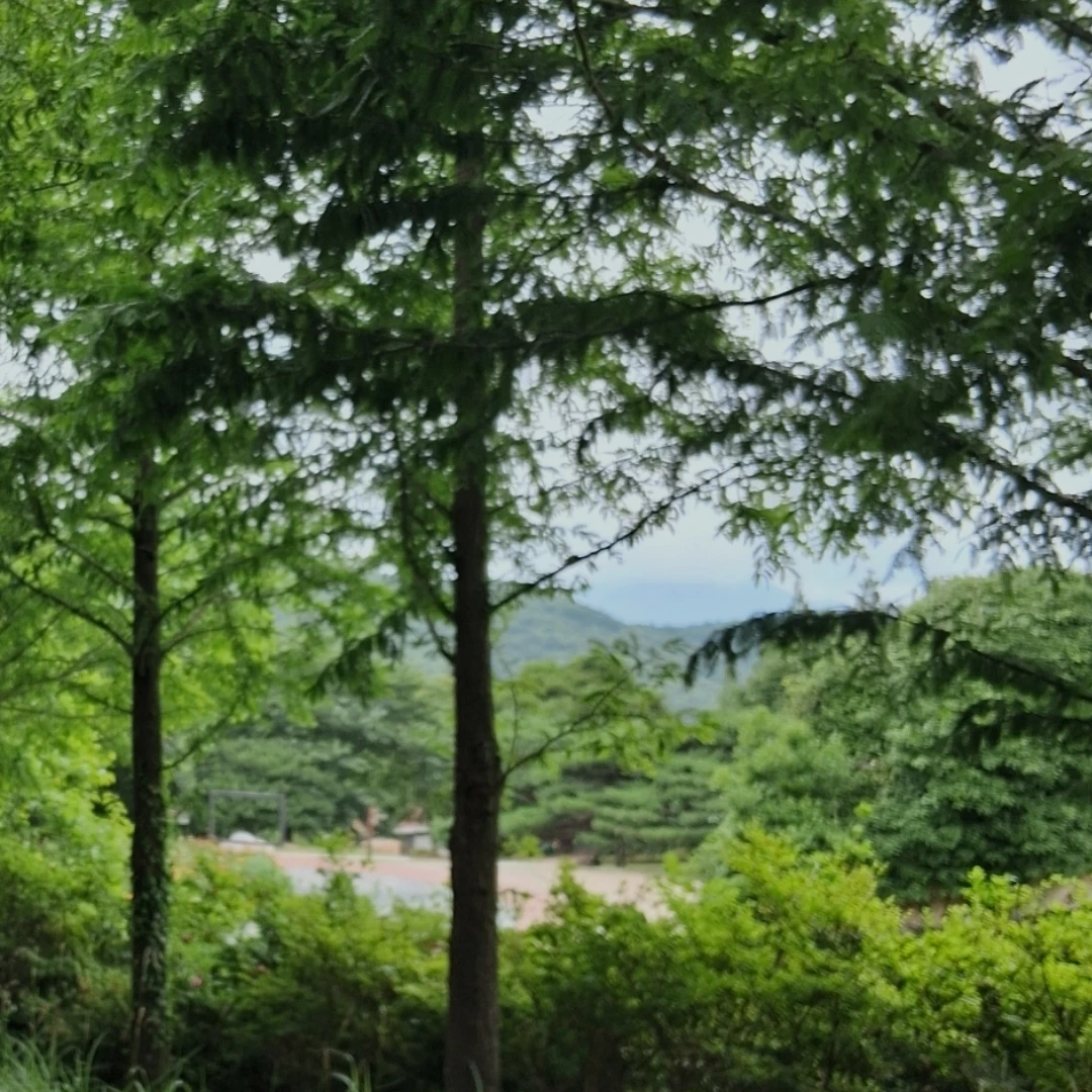 수현