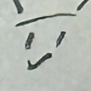 Profile image of ショッピ