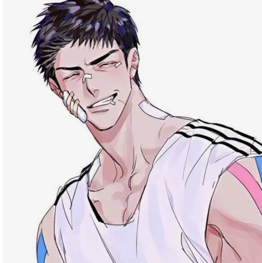 DimLip6525의 学校一の不良とぶつかった