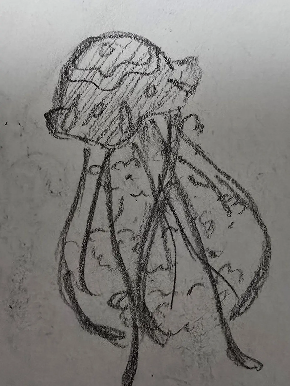 blue_cheeze의 해파리.