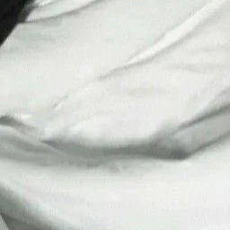 葵