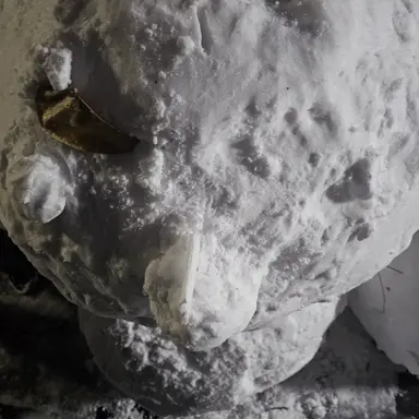 Profile image of 코쿠시보