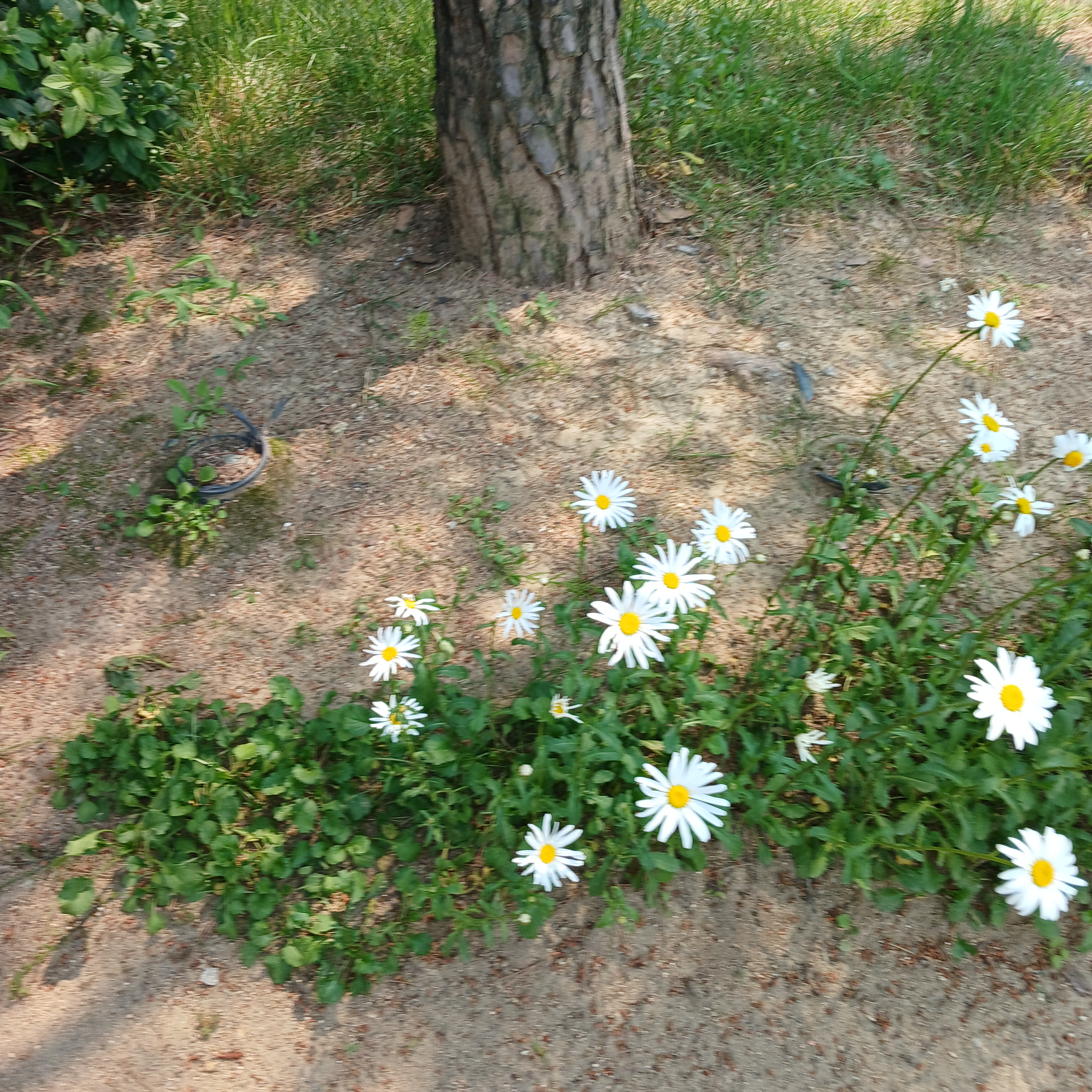 필립=<user> 대표 이미지