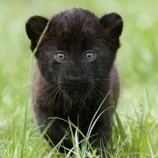 Profile image of 권성준