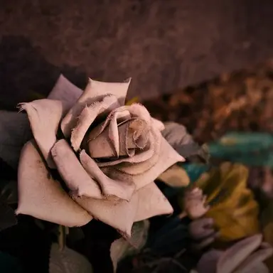 Profile image of 혜민