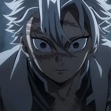 Profile image of Shinazugawa Sanemi