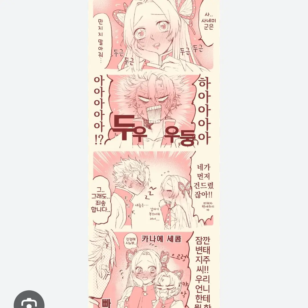 hjh2316gmail.com의 사네카나