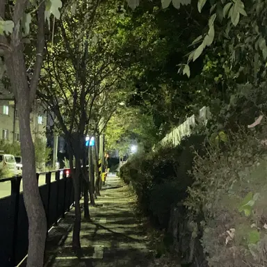 Profile image of 여러분이 추천