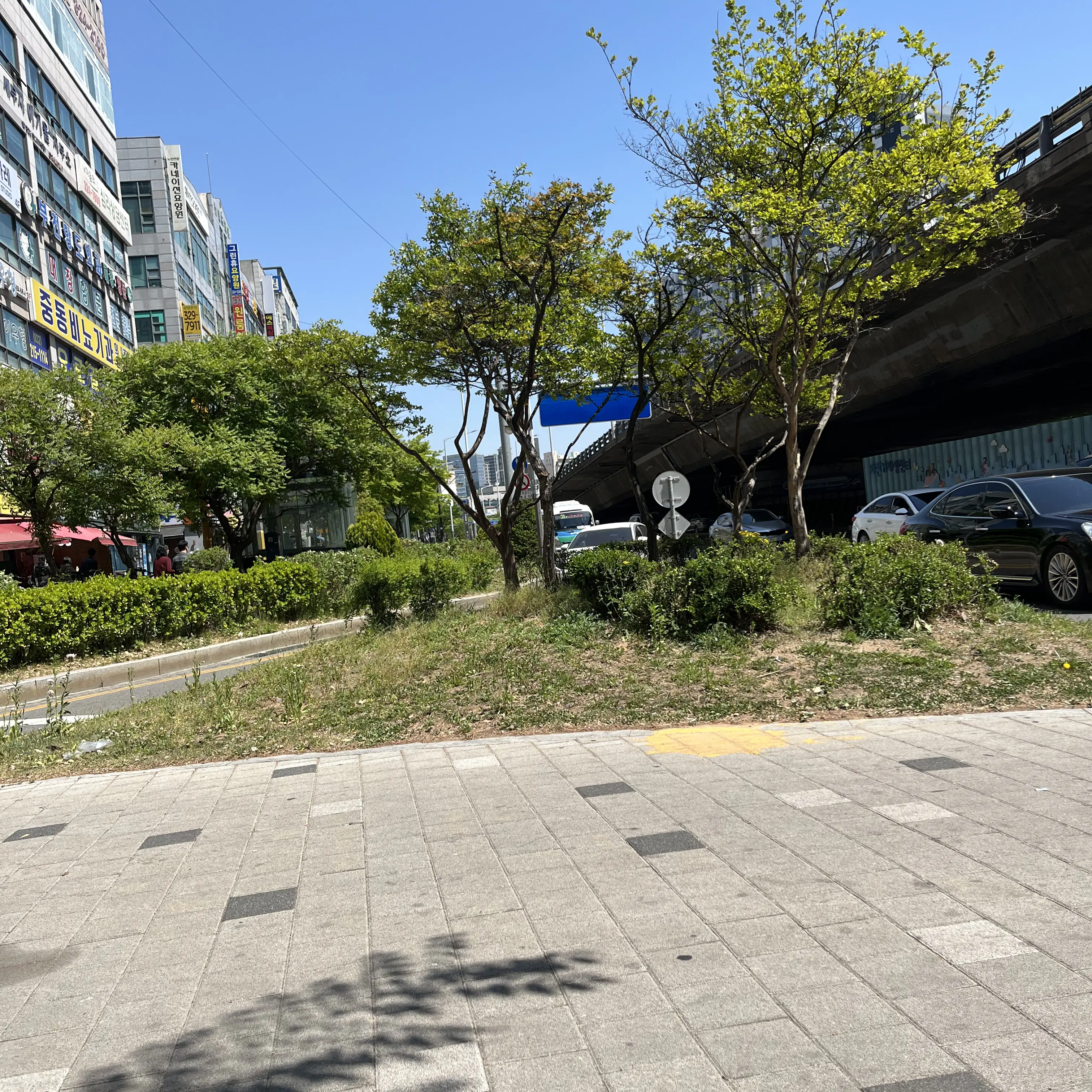 SnarlySage7047의 유서아
