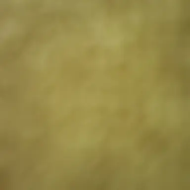 Profile image of 꽥