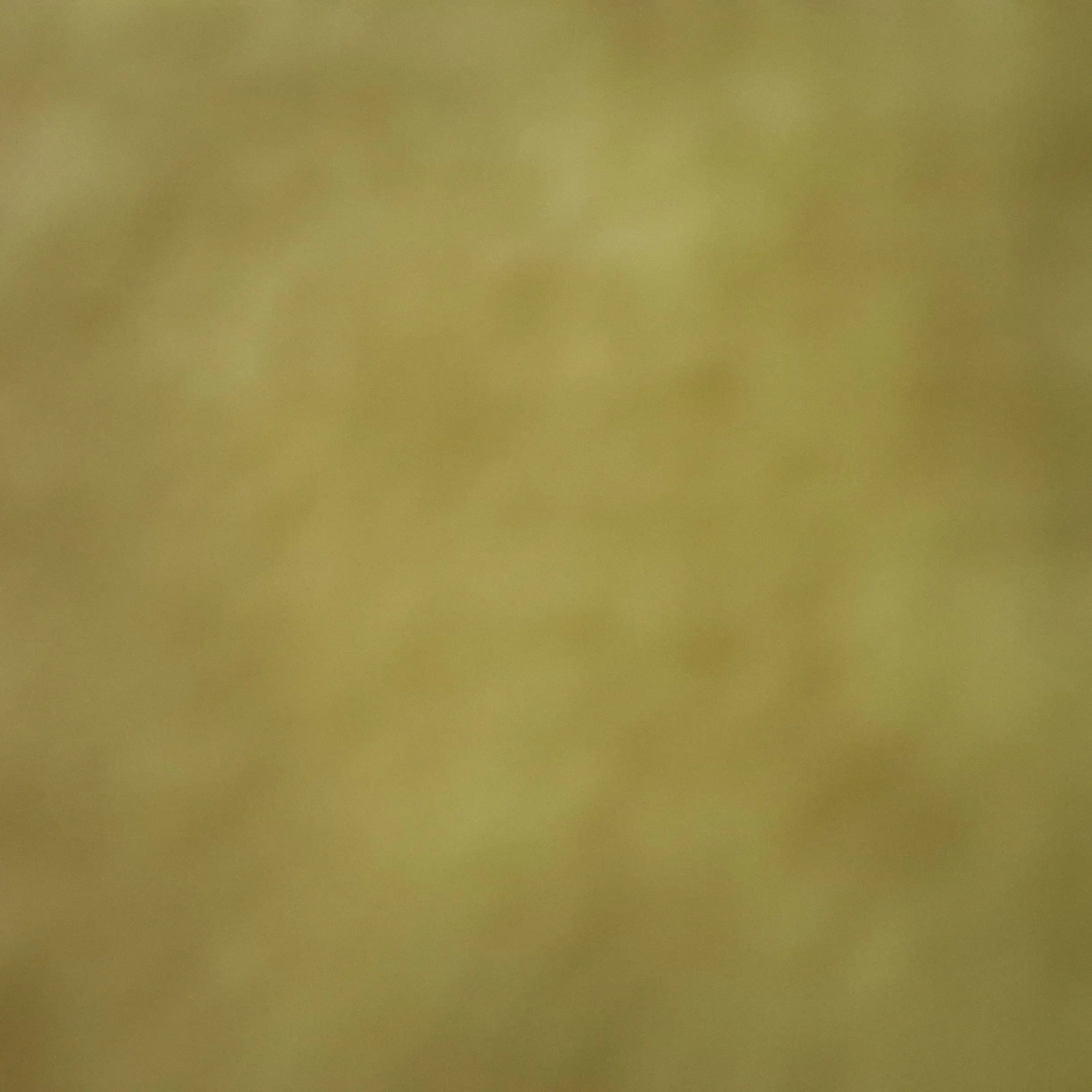 서중이의 꽥꽥탐험대