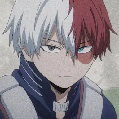Profile image of Todoroki