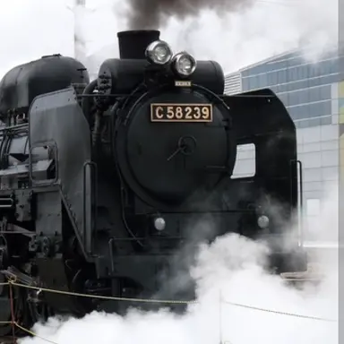 Profile image of シゴハチ