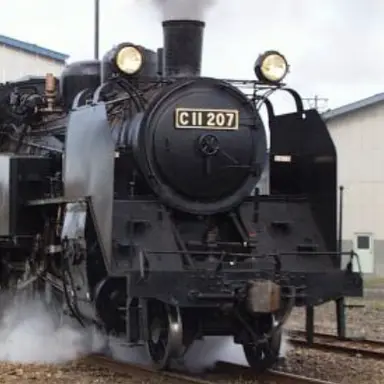 Profile image of C11
