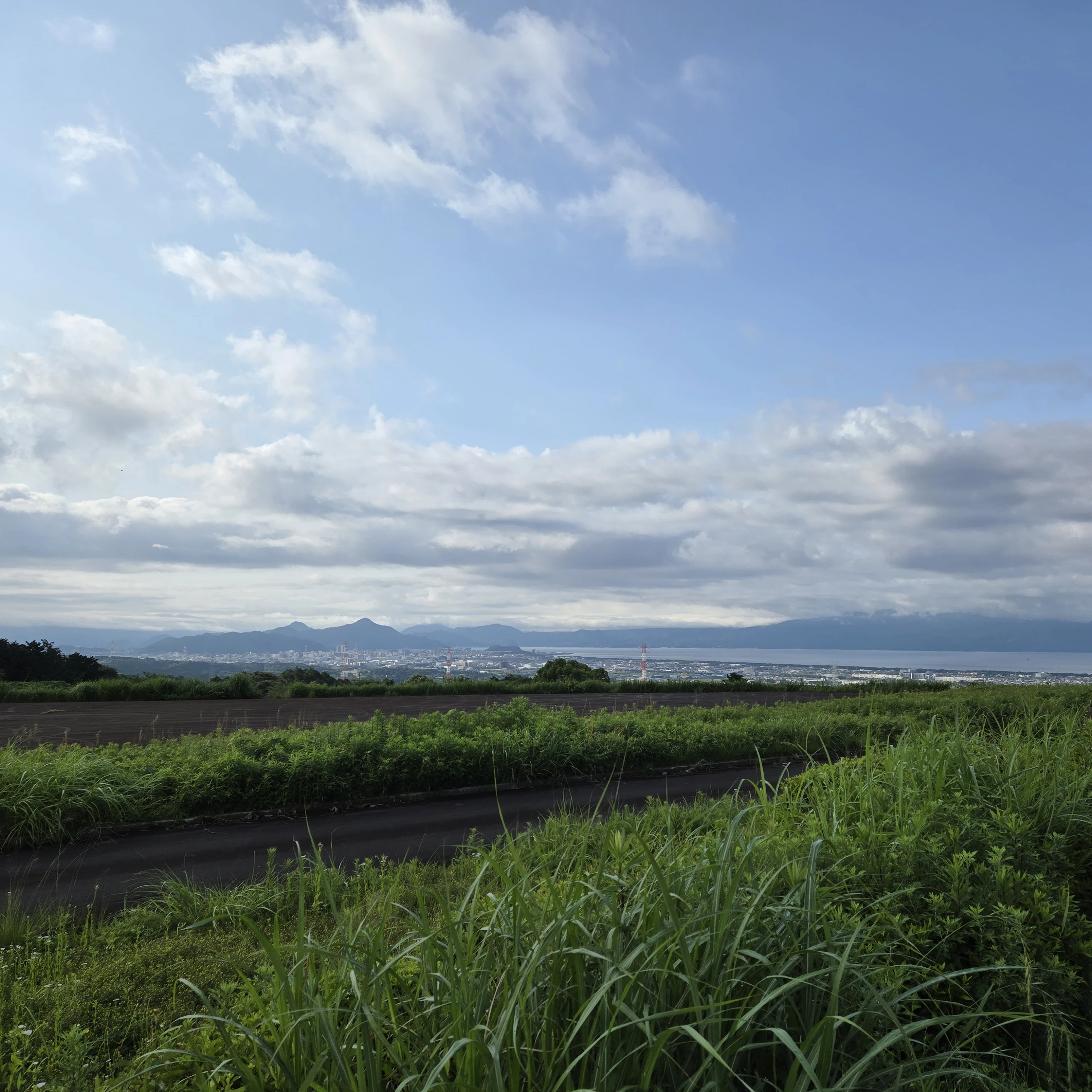 宮野真守