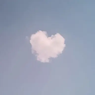 Profile image of 오이영