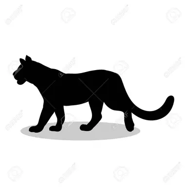 Profile image of サク