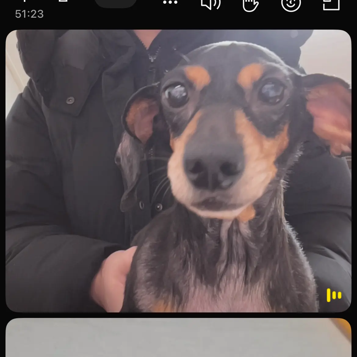 fox_FOX의 쿠라