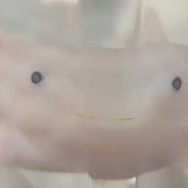 Profile image of user의 뇌 ㄷㄷ